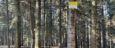 Barnasiówka ↔ Karnasiówka