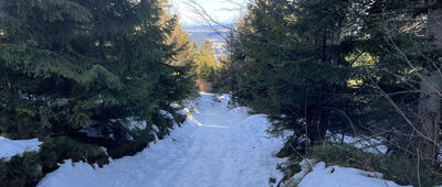 Skrzyżowanie pod Gorcem ↔ Gorc