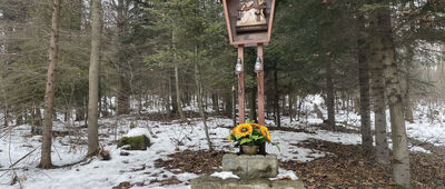 Stodołówka ↔ Maków Podhalański, ul. 3 Maja