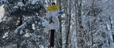 Przełęcz pod Sałaszem