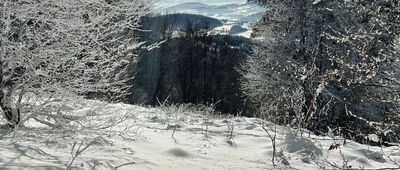 Przełęcz pod Sałaszem ↔ Sałasz Zachodni