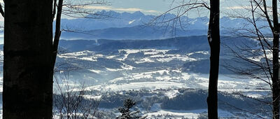 Sałasz ↔ Dziedzic