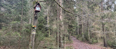 Pcim, zakład ↔ Pod Krzywicką Górą