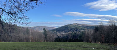 Pod Krzywicką Górą ↔ Działek