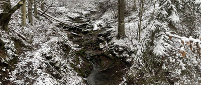 Pod Stańkową ↔ Maków Podhalański, ul. 3 Maja