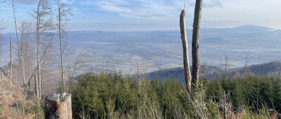 Schronisko PTTK Skrzyczne ↔ Lipowa, Ostre