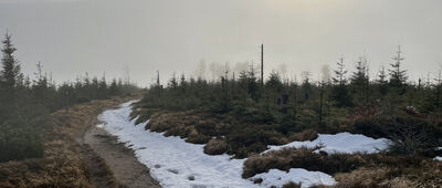 Malinowska Skała ↔ Pod Malinowską Skałą