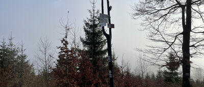 Pod Malinowską Skałą