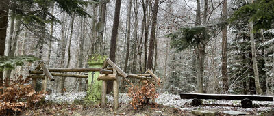 Bartne ↔ Przełęcz Majdan