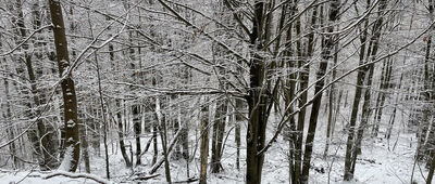 Pod Maguryczem Dużym ↔ Kamieniołom łemkowski