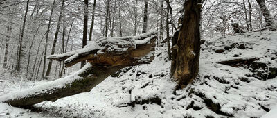 Kamieniołom łemkowski