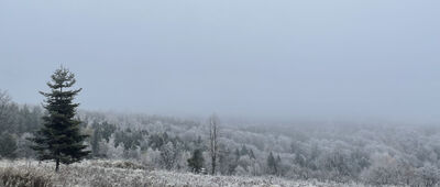 Pod Gorylką ↔ Kotoń Zachodni