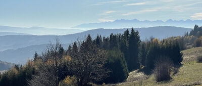 Kapliczka pod Koskową Górą