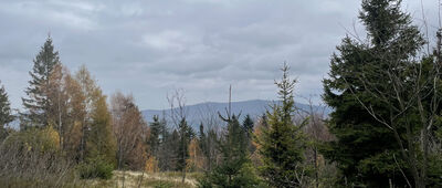 Czarny Groń, mostek ↔ Pod Potrójną