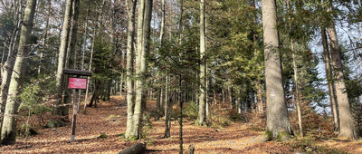 Przełęcz Na Przykrej ↔ Rozstaje pod Mladą Horą