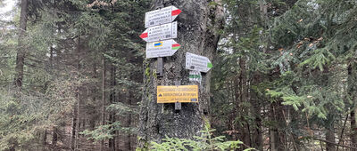 Skrzyżowanie pod Smerkowicą