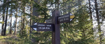 Kudłoń, rozejście szlaków