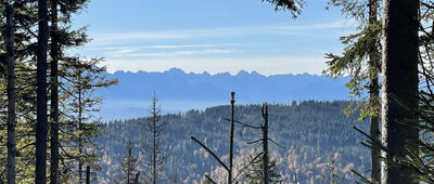Kudłoń, rozejście szlaków