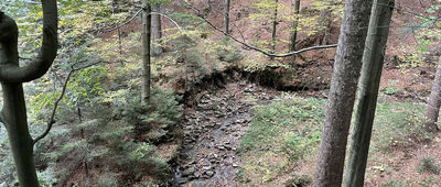 Brenna, Bukowa ↔ Przełęcz Karkoszczonka