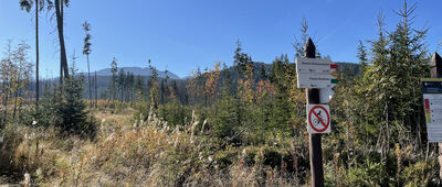 Toporowa Cyrhla, granica parku narodowego