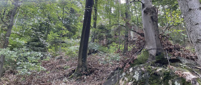 Skała Diabeł ↔ Diabla Dziura