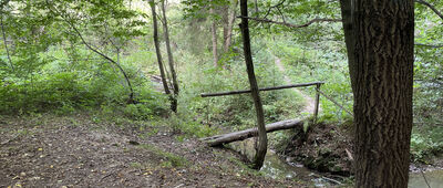 Diabla Dziura ↔ Bukowiec