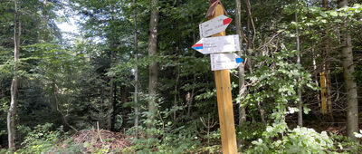 Pod Drobnym Wierchem