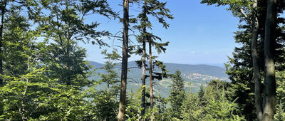 Międzybrodzie Bialskie ↔ Pod Rogaczem