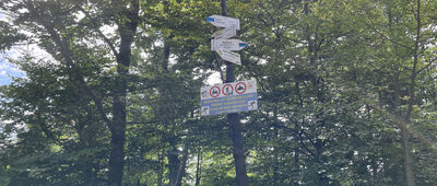 Smocza Jama, odejście szlaku