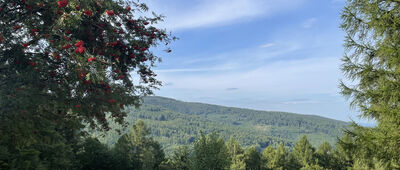 Pod Gaikami ↔ Nowy Świat