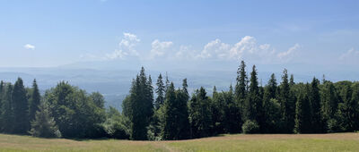 Odejście ścieżki edukacyjnej ↔ Pod Wysznią