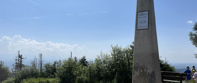 Turbacz