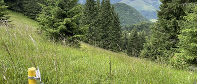 Brankovský vodopád, rázc. ↔ Veľký Brankov