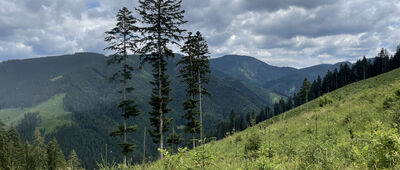 Sedlo Teplice ↔ Veľký Brankov
