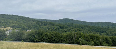 Gruszowiec ↔ Pod Ćwilinem