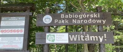 Przełęcz Krowiarki ↔ Rozejście pod Brożkami