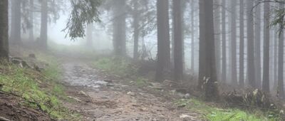 Rozejście szlaków ↔ Pod Ostrą Małą