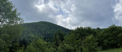 Nowa Polana ↔ Granica Gorczańskiego Parku Narodowego