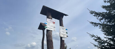 Schronisko PTTK Na Hali Boraczej