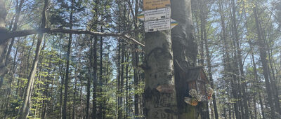 (Była) Polana Beskid