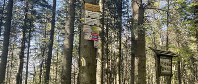 Przełęcz pod Magurką Ponikiewską