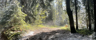 Mały Luboń ↔ Luboń Mały