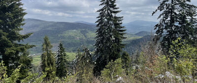 Miejsce katastrofy śmigłowca Mi-2 ↔ Schronisko PTTK na Luboniu Wielkim