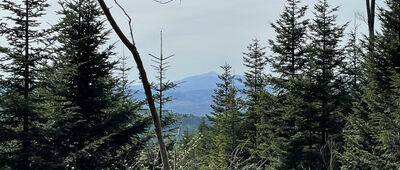 Kamiennik ↔ Odejście do punktu widokowego na Kamienniku