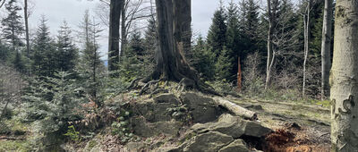 Kamiennik ↔ Odejście do punktu widokowego na Kamienniku