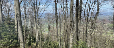 Kamiennik ↔ Odejście do punktu widokowego na Kamienniku