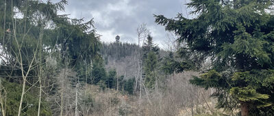 Ochotnica Dolna ↔ Skrzyżowanie pod Lubaniem