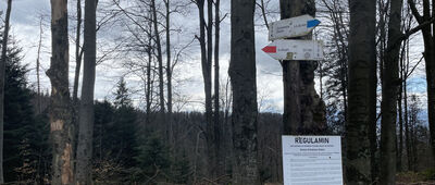 Skrzyżowanie pod Lubaniem