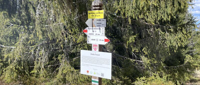 Jaworzyny Ochotnickie