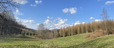 Źródło św. Eliasza ↔ Dębnik